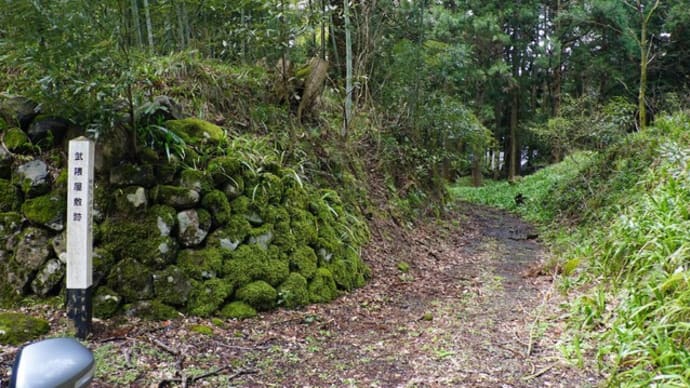 00小菅沼城跡(武隈屋敷跡)@富山県魚津市 令和二年(2020)4月10日 松倉城の支城で予想外の遺構に感動!妄想が膨らみました!