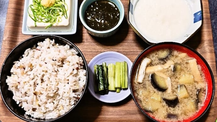 家で朝ごはん(十六穀ごはんに山芋のとろろ、もずく酢、冷奴、なすと油揚げのみそ汁、野沢菜漬け)(2025年6月23日)