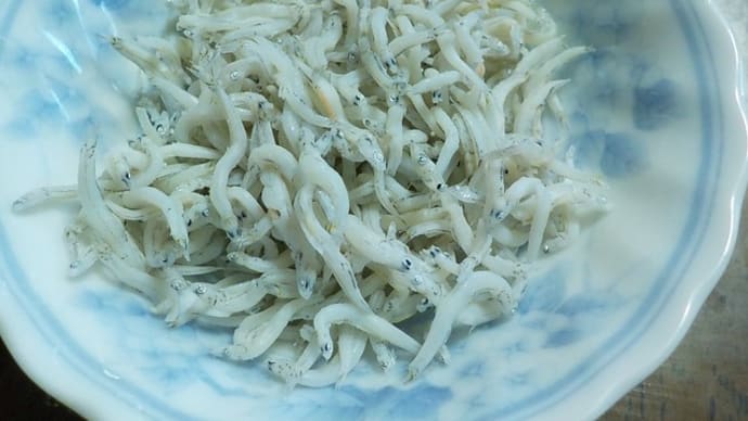 今日も呑みました!