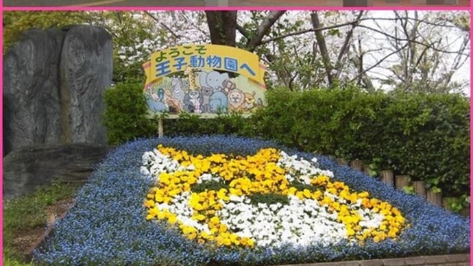 🌸 神戸市立王子動物園 🐯🦉🐵🐼🐒🐨🐐🐘🦘🦒