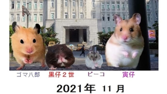 11月のカレンダーアップします