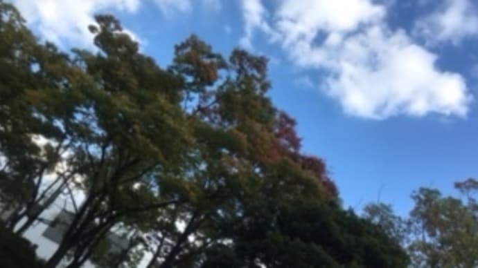 だからドリフターズリストって