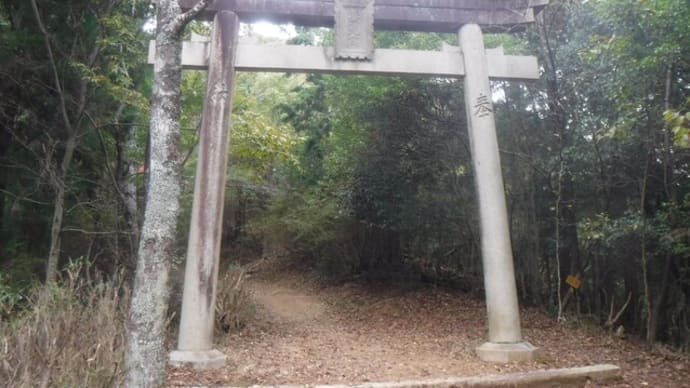 最上山公園から篠ノ丸城跡