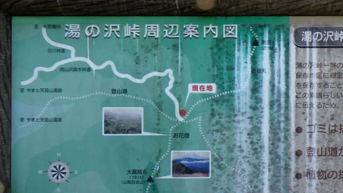 大蔵高丸とハマイバに登りました 20240504