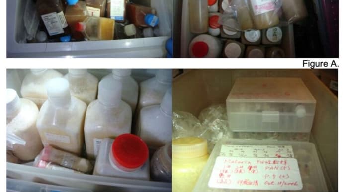 加州に違法な「ウイルス研究所」…中国系が運営 HIVなど20以上の病原体保有 千匹のマウスで実験