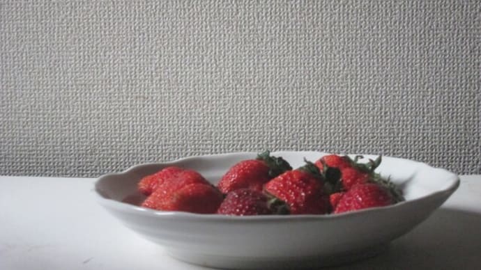 苺F4号制作途中