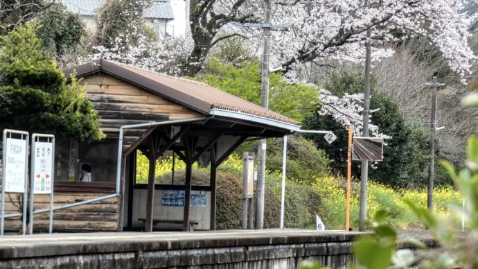 久大本線沿いの桜2022