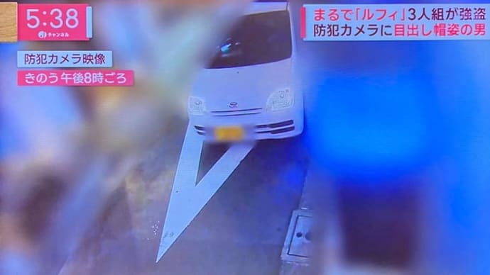東京で３匹組強盗