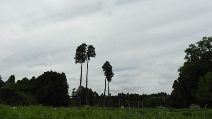 ちょっとショックな出来事・・・