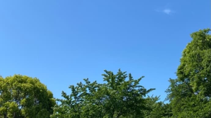 空・豆・餅
