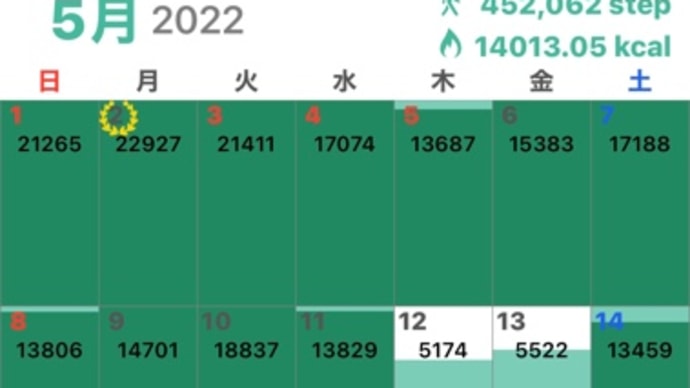 5月の歩数記録・・・月が変わって少し停滞気味な6月