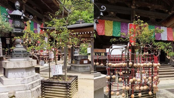 岡寺_2 ホテルランチ 黒猫