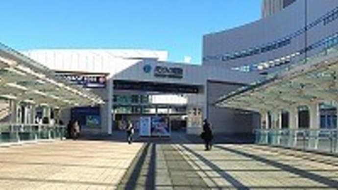 出社して中抜けでローカルな展示会行ってさらにその中抜けでファヒータ食って帰宅したらチキンな夕餉
