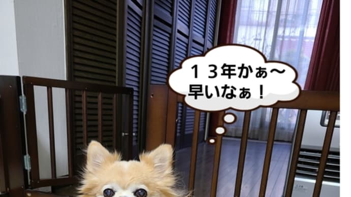 うちの子記念日。