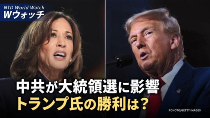 元選挙顧問:中共が大統領選に影響ートランプ氏の勝利は?/《正義のハンター》カナダで初上映、マタス氏に敬意 など|NTD ワールドウォッチ(2024年10月28日)