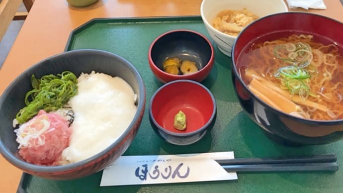 さて、何食べよ