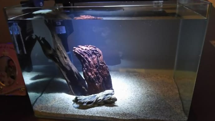 水槽と立ち上げ