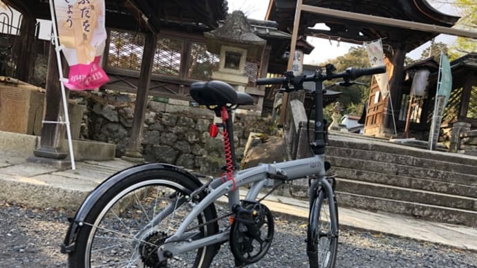 軽めのトレーニング