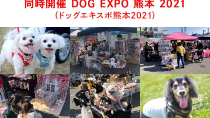 九州キャンピングカーショーとDOG EXPO熊本🐕️