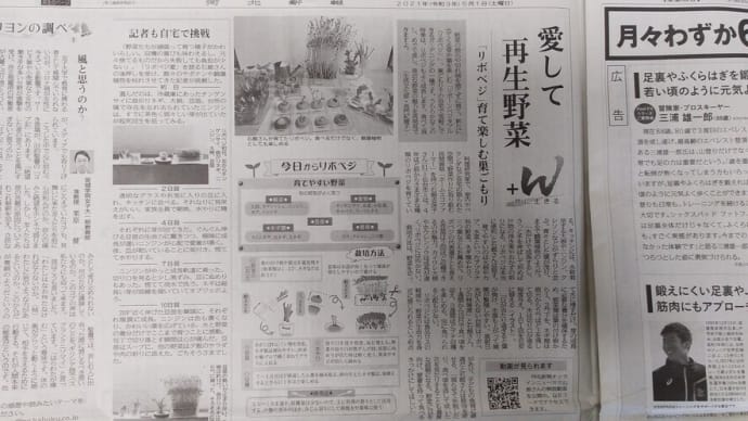 河北新報今朝の朝刊にて「リボベジ」掲載