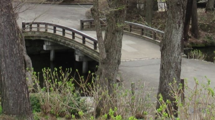 盛岡城跡公園の橋 岩手県盛岡市