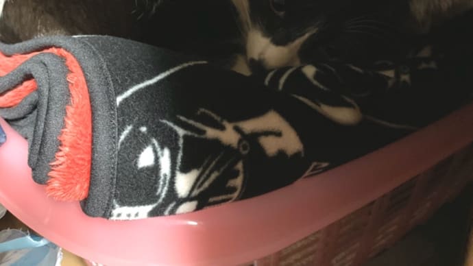 ドラえもん