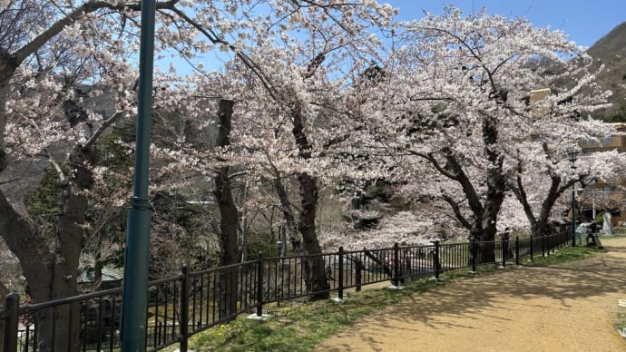 4月20日「桜咲く♪ご協力があって歌える喜びを感じています」