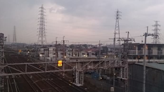 お正月気分も抜けました。