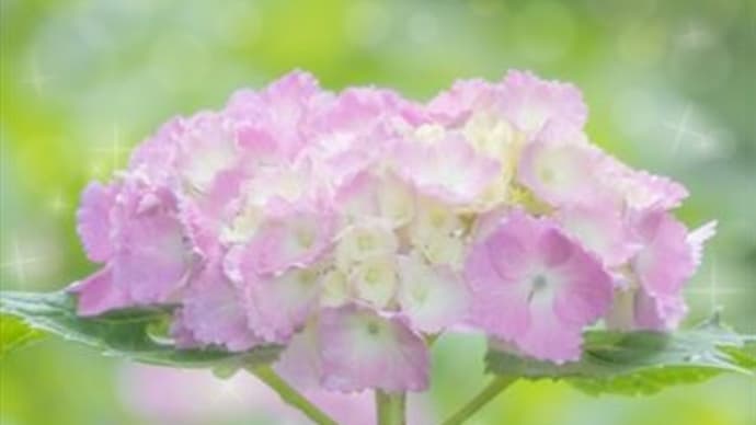 失敗しかない他人との比較