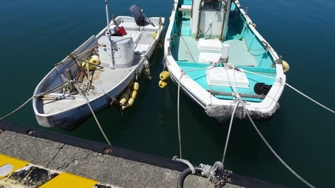 御前崎港　停泊中の釣り船と海上保安庁・ふじ号