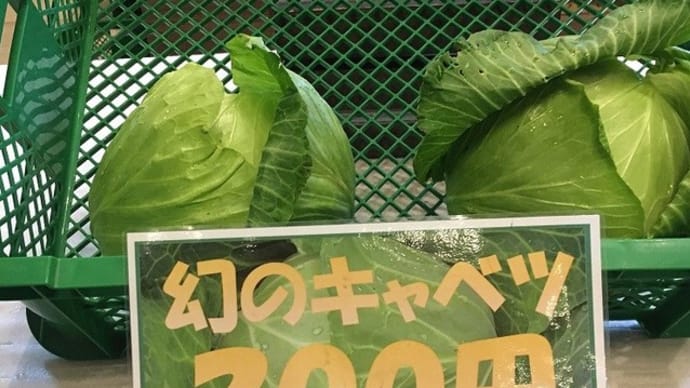 幻のキャベツ