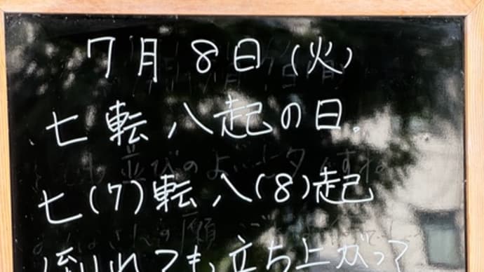 七転び八起きの日、だそうです 今日は7月8日です!