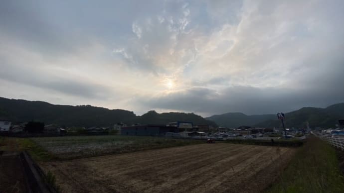 昨日の散歩にて佐敷城跡とソラマメ畑