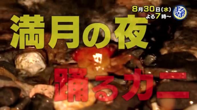 今夜の「あいテレビ」に、出演!