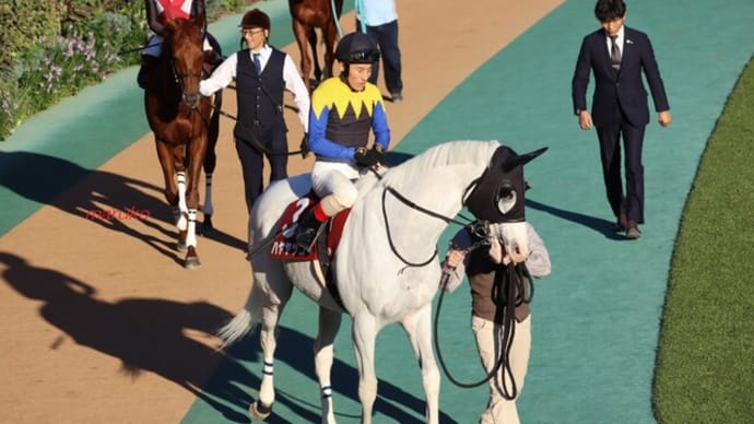 秋競馬2024-5