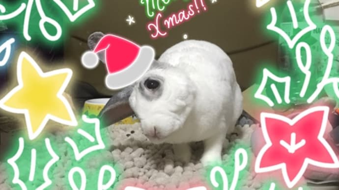 クリスマスイブランチは生親子丼セット@伊勢