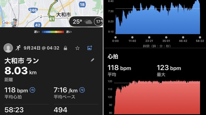 朝ラン8km、庭木伐採 & スイム800m