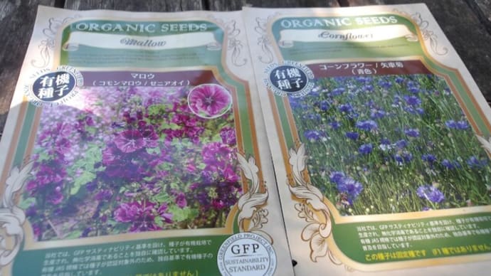 広場の草取り終わりました