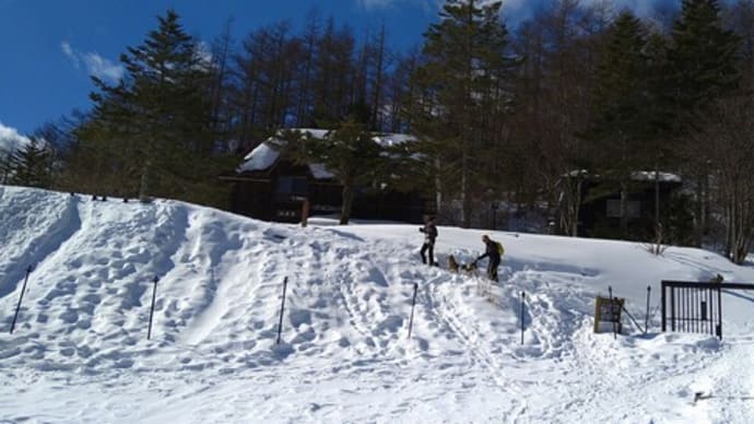 入笠山スノーシュートレッキングに行きました