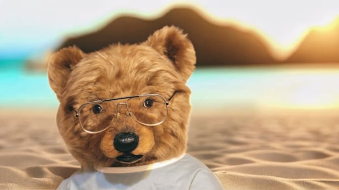 Hug me bear マロン色のヒグマくん ②