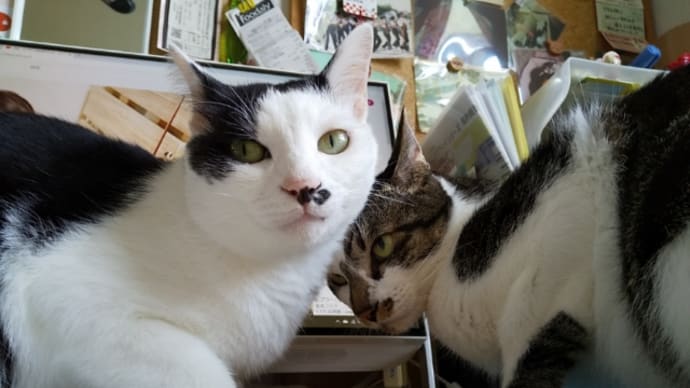 「私もおんなじだよ。」って、言ってほしい。
