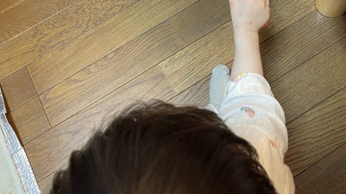 食欲に負けた猫