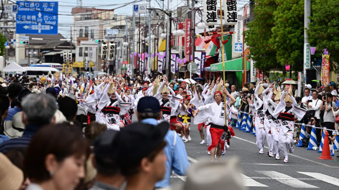◆葛飾菖蒲まつり・阿波踊り(流し踊りその2)