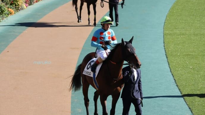 がんばれ!初勝利7