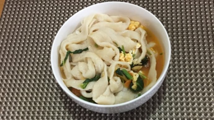 今日の一品 今日の昼食は自家製手打ち麺