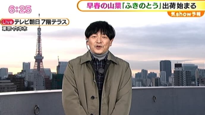 ふきのとう出荷始まる