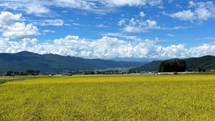 田園風景