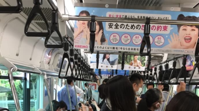 番外編 永住許可申請 再申請手続き