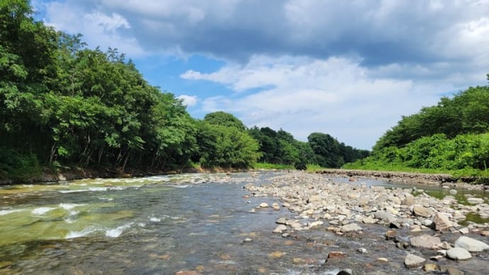 碓氷川の鮎釣り(9回目)