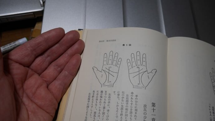 手相?